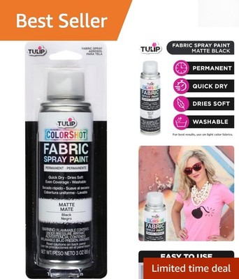Transform Fabrics with 3oz ColorShot Black Spray Paint - Soft Finish & Fast-dry