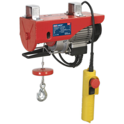 250 kg Kapazität elektrischer Hub - 500W 1ph Motor - Fahrzeug Hebeklammer