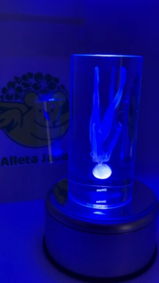 Evangelion EVA STORE limited Original Memorial Crystal Rei Ayanami