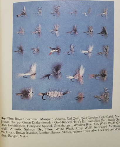 Al Raychard's Fly Fishing in Maine -The Guide To The Best Fly Fishing SC 1980 - Picture 13 of 15