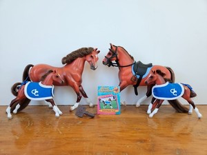 VTG Grand Champions Irish Hunter Horse Family Stallion Mare Mail-Order Foals '00