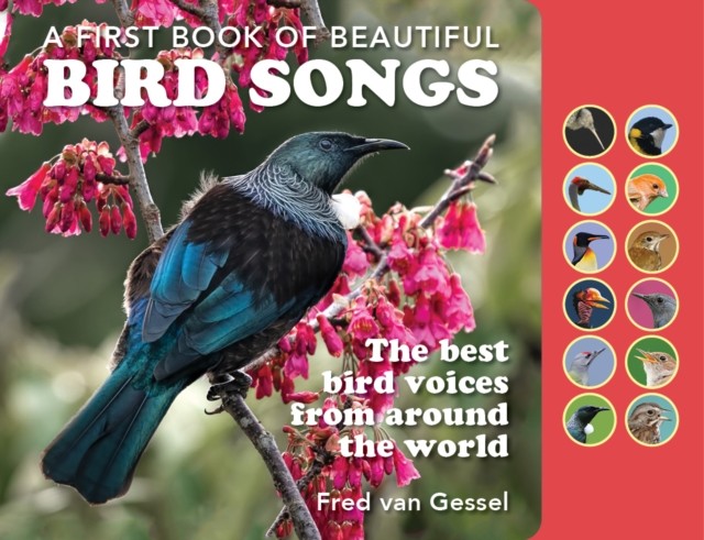 A First Book of Beautiful Bird Songs: The best  by Fred Van Gessel BOARD BOOK