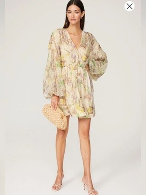 ALEXIS Behati Embroidered Organza Blouson-Sleeve Mini Dress Sz Medium