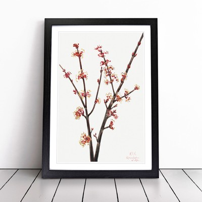 Roter Ahorn von Mary Vaux Walcott Wandkunstdruck gerahmtes Leinwandbild Poster Deko