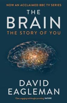 The Brain: The Story of You von Eagleman, David | Buch | Zustand sehr gut