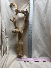 Sandblasted California Grapewood Branch- 23 Inch-Many Uses for Decor- LOT V