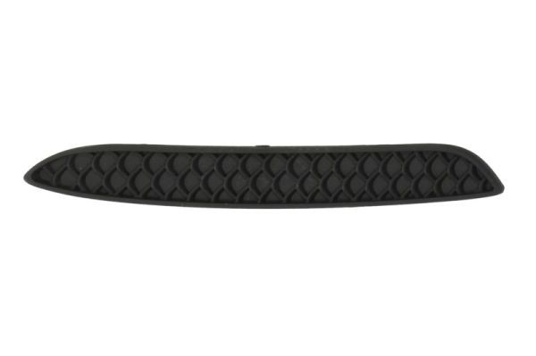 Left Front BLIC 5703-05-3556971P Trim/Protection Strip, bumper