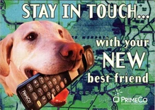 Continental Postcard Stay In Touch Dog Primeco Advertisement