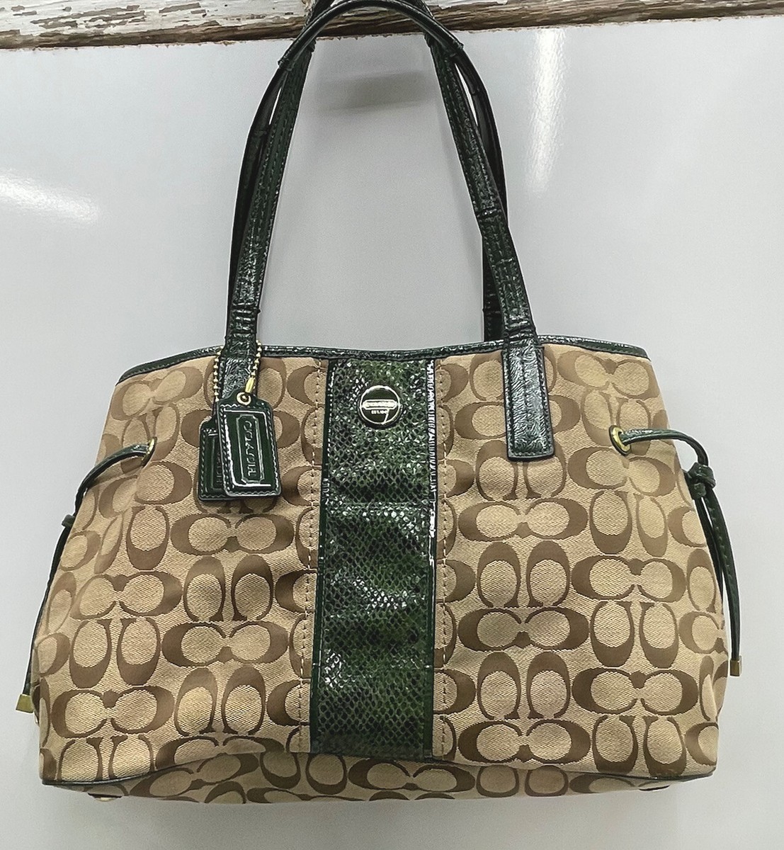 Coach Signature G1380-F24882 Handbag Tote Bag Green Python Stripe
