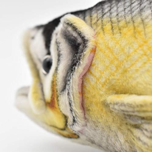 Sea Bass No6052 NEW - Picture 6 of 9