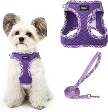 PUPTECK Dog Harness and M(CHEST 16-18, 11-18 lbs), #4 Purple(Upgraded Mesh)
