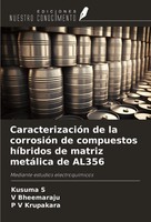 CaracterizacióN De La CorrosióN De Compuestos HíBridos De Matriz MetáLica De...