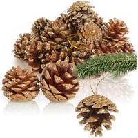 25X Tannenzapfen-AnhäNger Goldfarben, Weihnachtsdeko Zum AufhäNgen