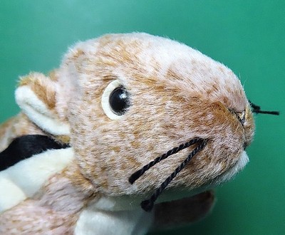 Ty Beanie Baby 