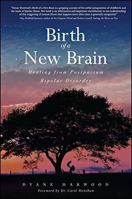 Birth of a New Brain: Healing from - Paperback, by Harwood Dyane - Very Good