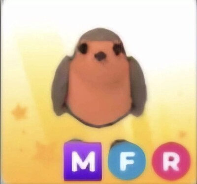 MFR Robin Adopt Me