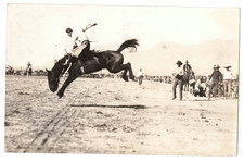 1936~REAL PHOTO POSTCARD~RODEO BROCO HORSE COWBOY~TUCSON, AZ~6th Ave & IRVINGTON
