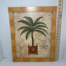 Vintage 1999 Coconut Palm Tree Royal Botanical Society Art Print 19.5” X 16”