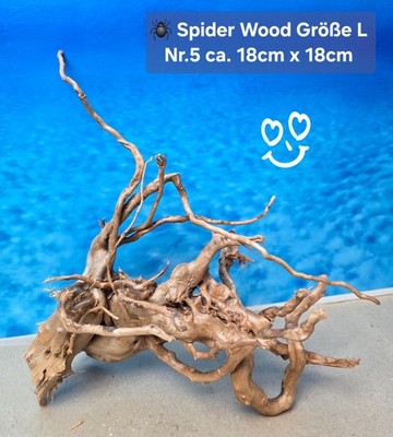   Moorkienwurzel- Spiderwood   Größe L  Aquarium Wurzel Hardscape