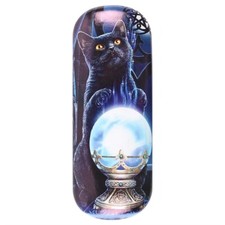 Lisa Parker Hard Glasses Case Sunglasses reading WITCHES APPRENTICE LP 30828