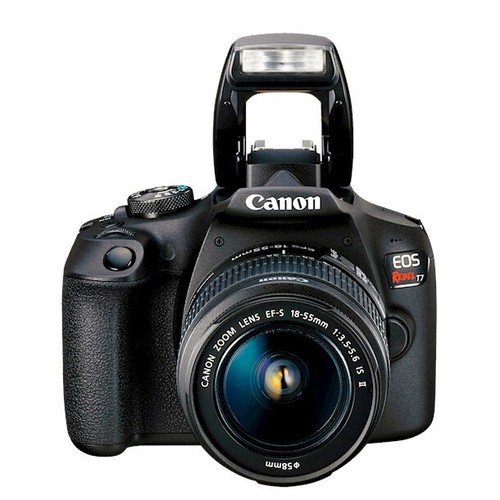 Canon T7 EOS Rebel DSLR Camera EF-S 18-55mm IS II + 500mm Telephoto Lens Pro Kit - Picture 5 of 12