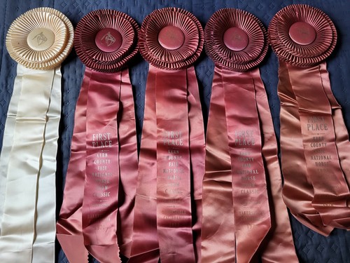 Kern County Fair National Horse Show Ribbons Awards 1976 Bakersfield California