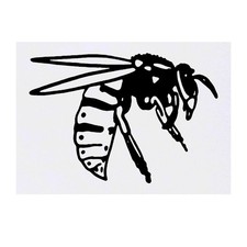 'Wasp' Temporary Tattoos / Transfers TO00029273 
