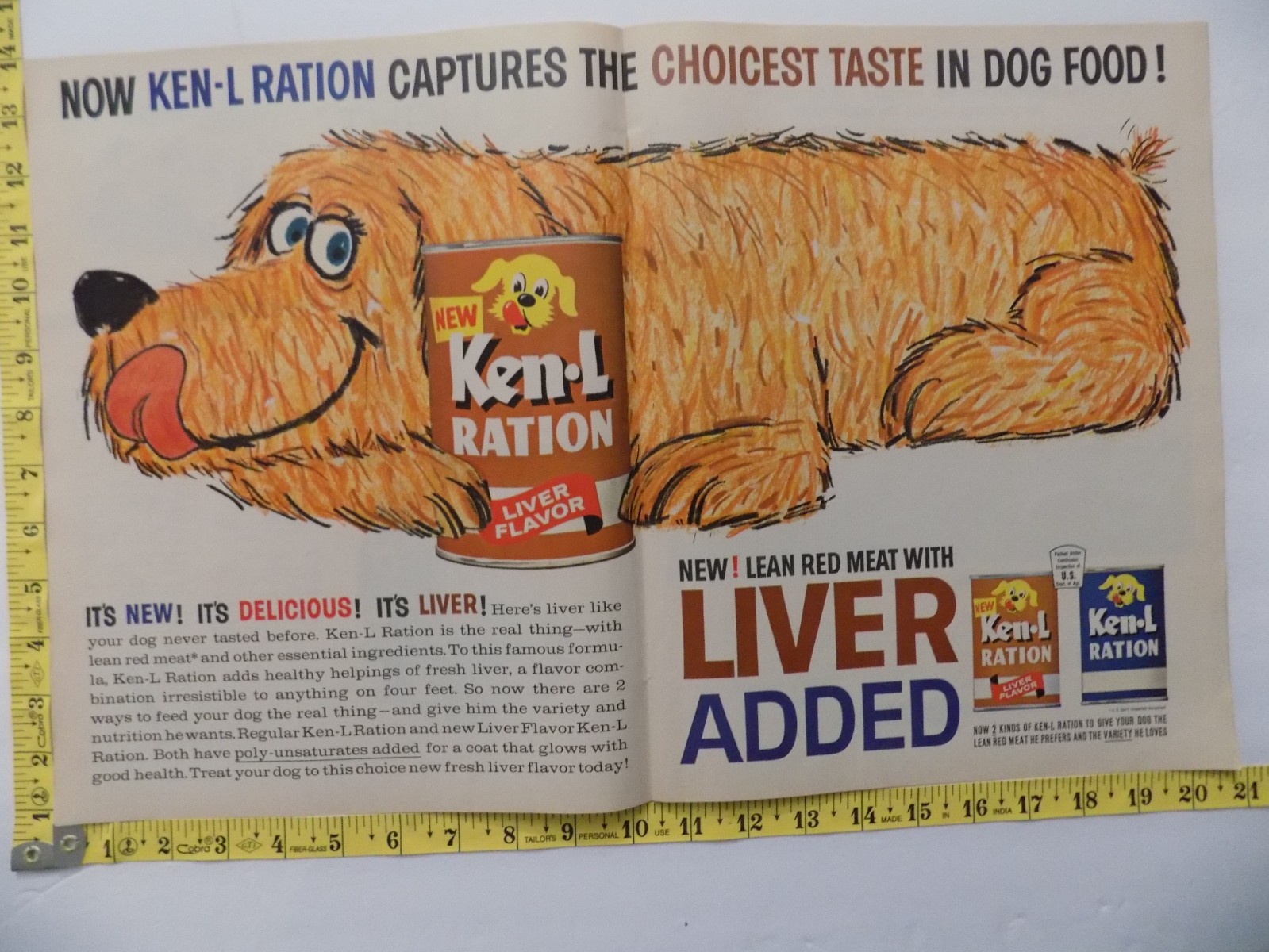 With Liver 2 Page