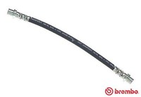 Brembo Bremsschlauch Hinterachse, Innen, Links, Rechts U.A. FüR Chevrolet, Opel