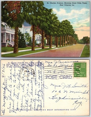 St Charles Avenue Palm Trees New Orleans LA Postcard