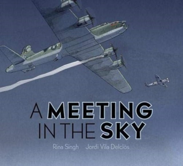 A Meeting in the Sky by Rina Singh (Hardback Book) - Image 2