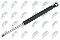 NTY Gasfeder, Koffer-/Laderaum AE-CT-008 FüR CitroËN