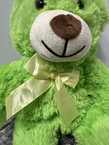 Plush Teddy Bear Stuffed Animal Green 14” Toy Gift FREE CANDY HEARTS w/PURCHASE - Picture 6 of 6