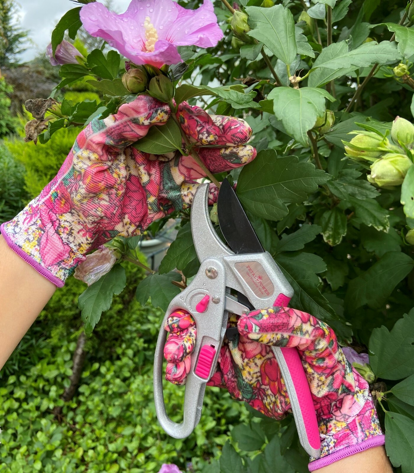 Ladies Garden Glove (2 Pairs) & Ratchet Secateurs (Great for weaker