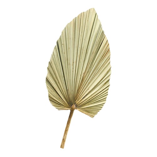 Dried Palm Fans Woven Fan Bridal Bouquet Handheld Cooling Fan - Picture 4 of 21