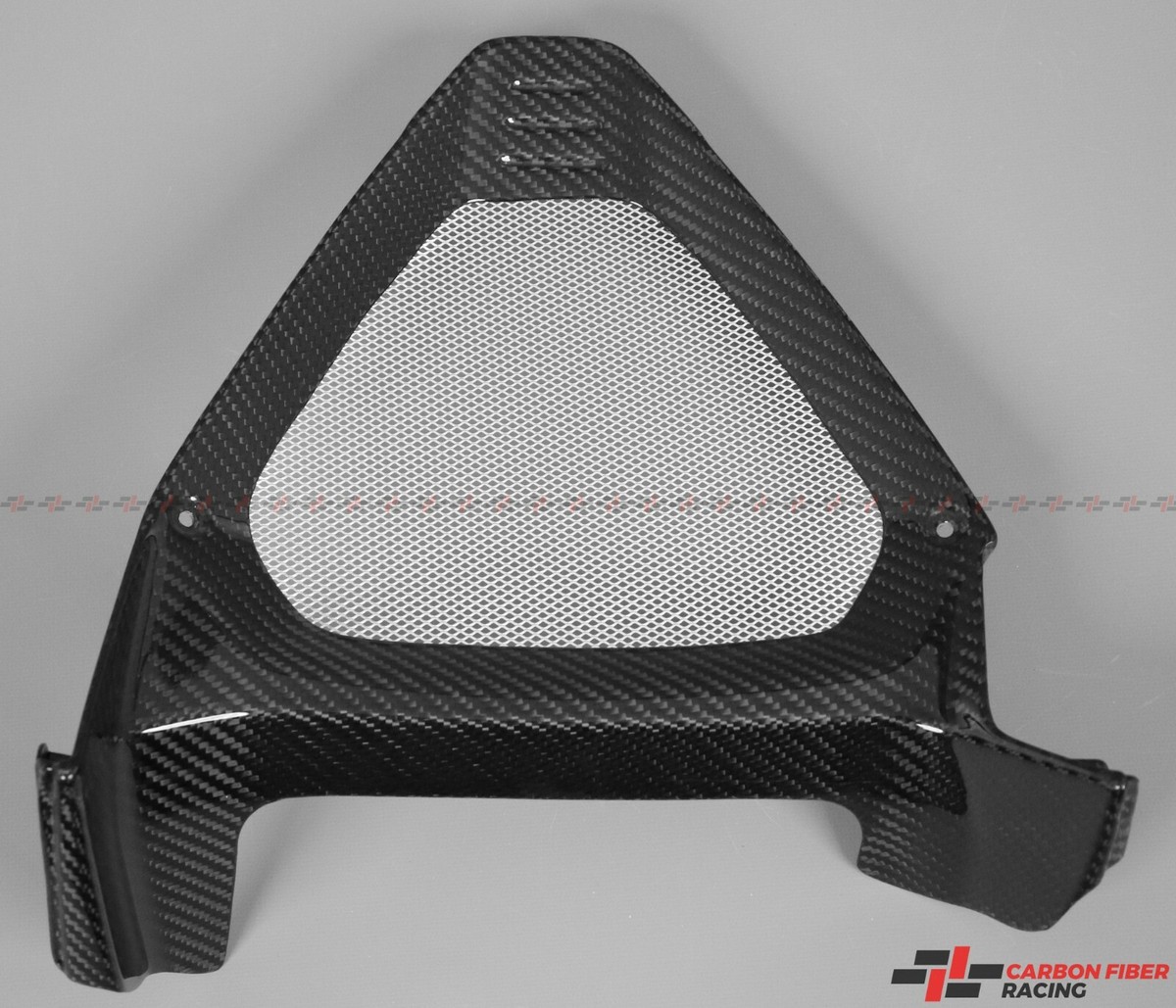 2019-2020 Ducati Diavel 1260, 1260 S Triangle Fairing - 100