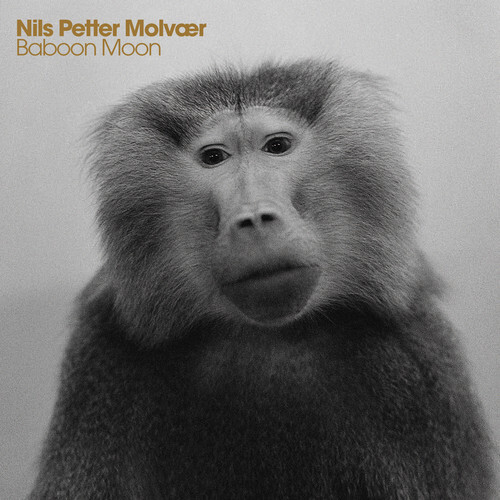 MOLVAER BABOON MOON New CD Y7351A 700435720121 EBay