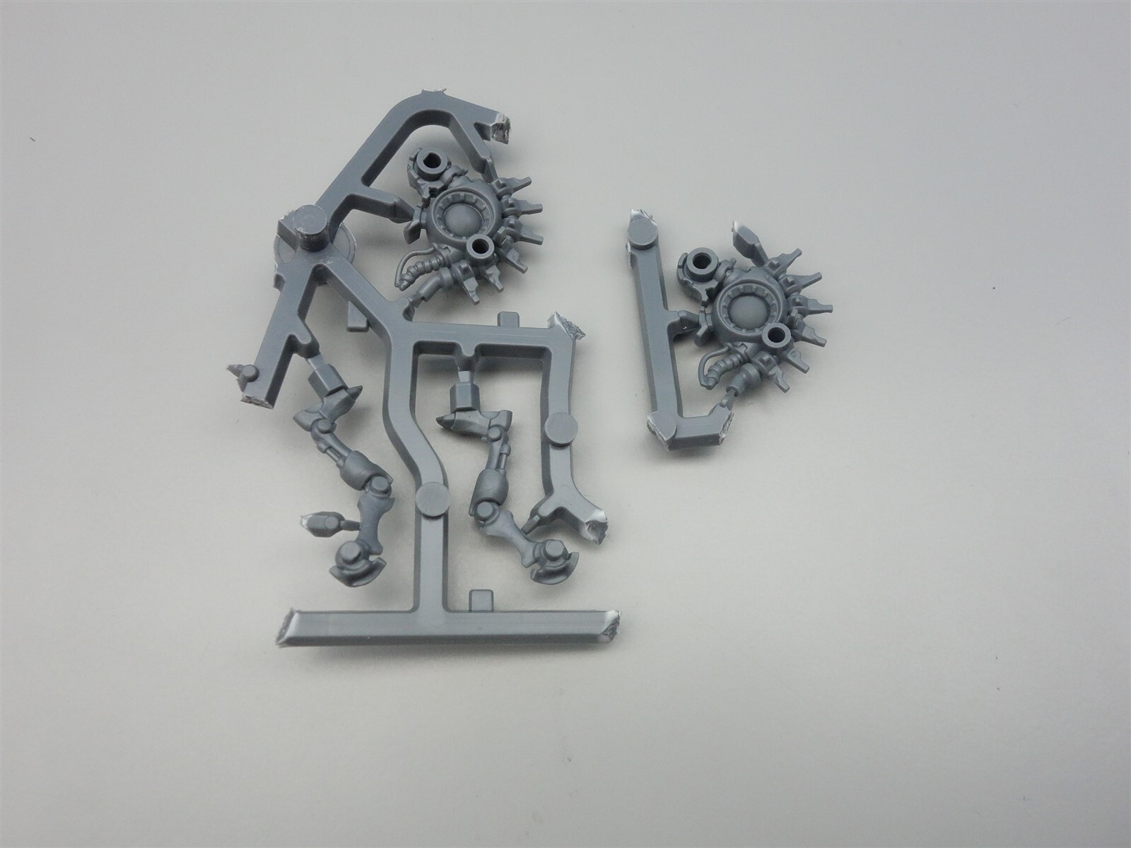 Picture 4 of 4