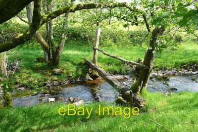 Foto 6x4 Noch nicht verurteilt Maesmynis Lange möge diese einfache Brücke bleiben. c2008