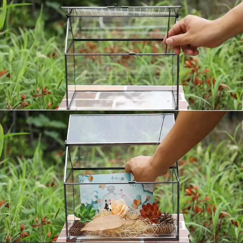 9.2" Large Terrarium Planter, Tabletop Miniature Flower Pot for Succulent Cacti - Image 3 of 4