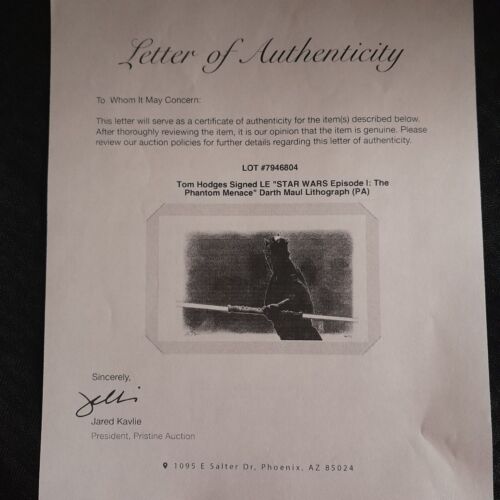 DARTH MAUL Framed 7/25 Litho STAR WARS - THE PHANTOM MENACE signed by Tom Hodges - Picture 4 of 4