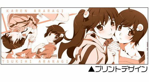 Nisemonogatari Mug with Cover: Karen and Tsukihi - Picture 1 of 4