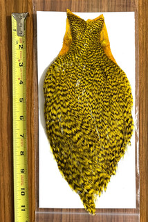 Grizzly dyed Yellow Rooster Cape Neck Fly Tying NR