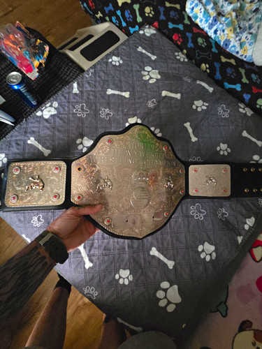 WCW/NWO World Heavyweight Championship Belt 1997