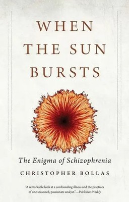 When the Sun Bursts | The Enigma of Schizophrenia | Christopher Bollas | Buch