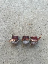 3pcs Rooted Dark Purple Sugarcane Cutting Sweet And Juicy Ready To Plant