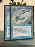 Mtg Mystic Remora - Ice Age NM NEVER PLAYED 1995