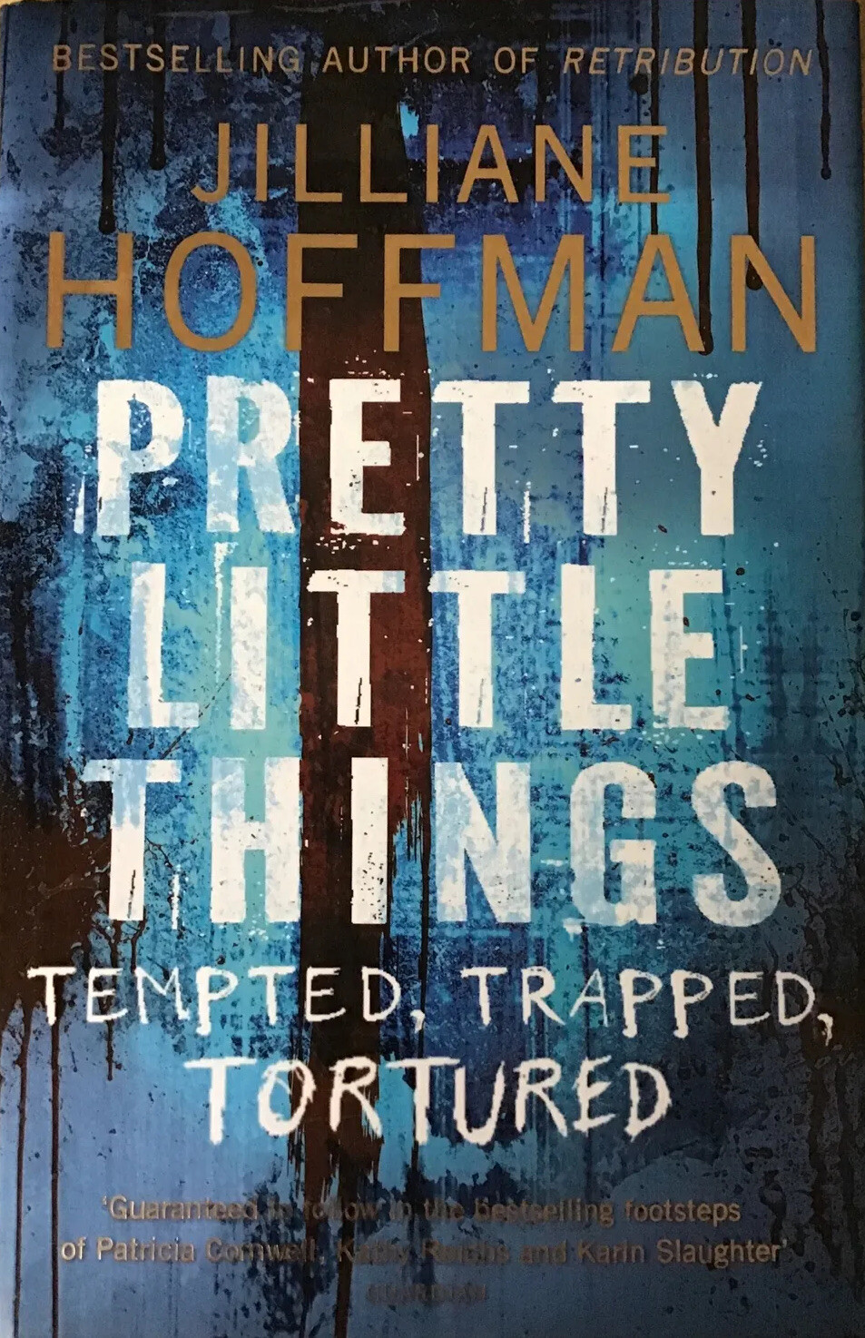 Pretty Little Things by Jilliane Hoffman (Hardcover, 2010), HarperCollins,....
