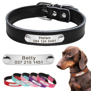 petite dog collars