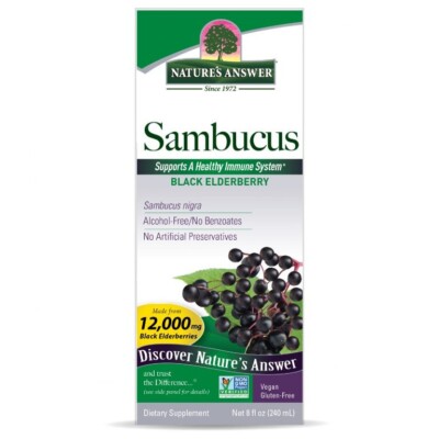 Sambucus Black Elderberry